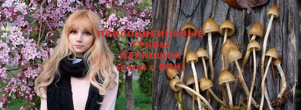 меф Белокуриха