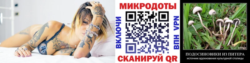 Псилоцибиновые грибы GOLDEN TEACHER KRAKEN рабочий сайт Выкса где найти